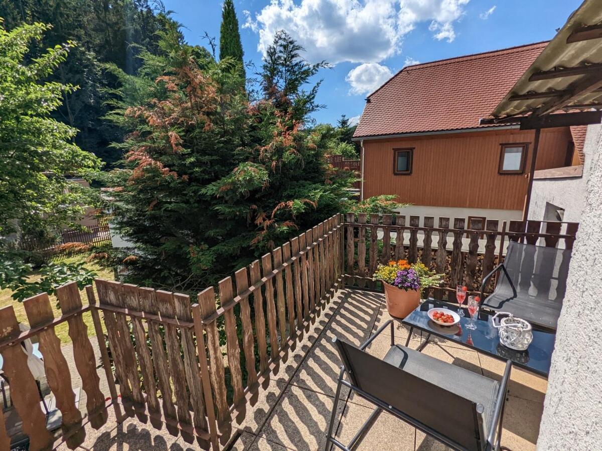 H2 - Urlaubsmagie - Garten, Pool, Terrasse, Grill Sebnitz Buitenkant foto