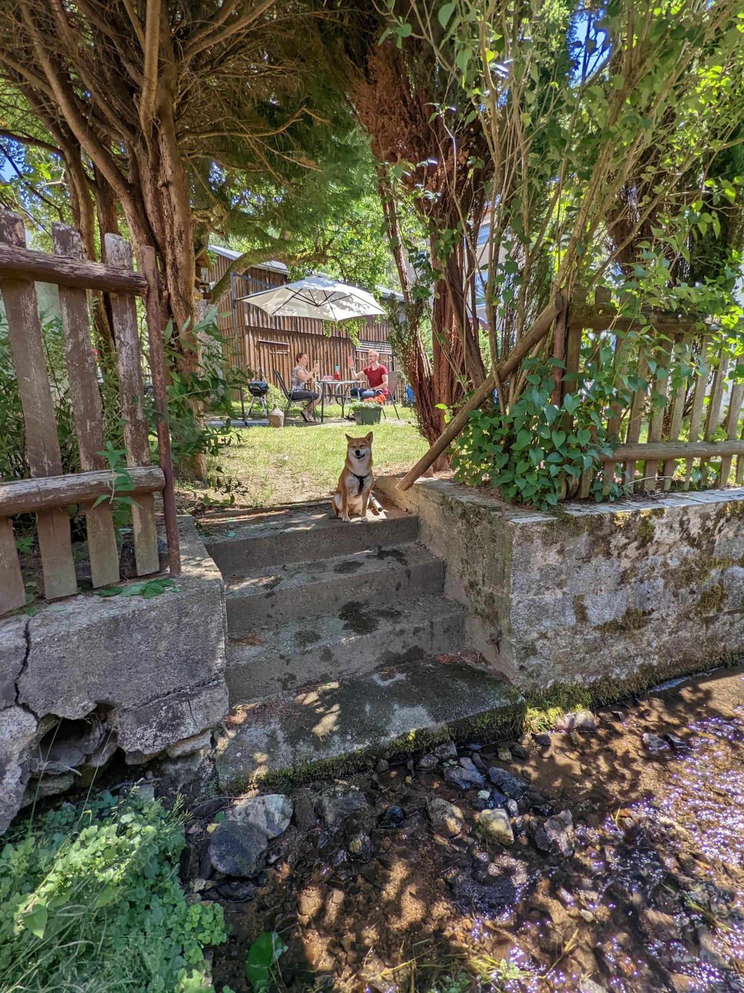 H2 - Urlaubsmagie - Garten, Pool, Terrasse, Grill Sebnitz Buitenkant foto