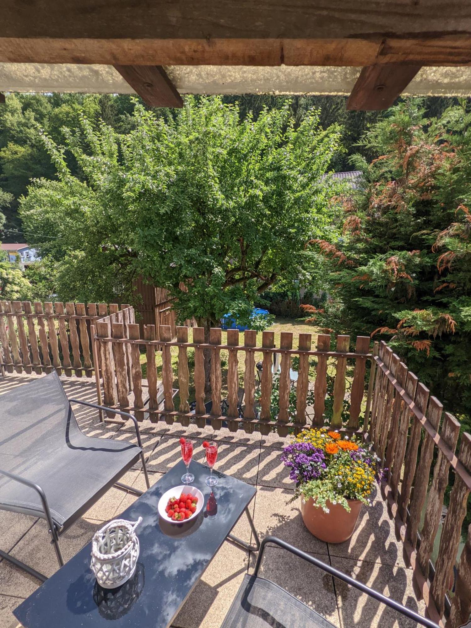 H2 - Urlaubsmagie - Garten, Pool, Terrasse, Grill Sebnitz Buitenkant foto