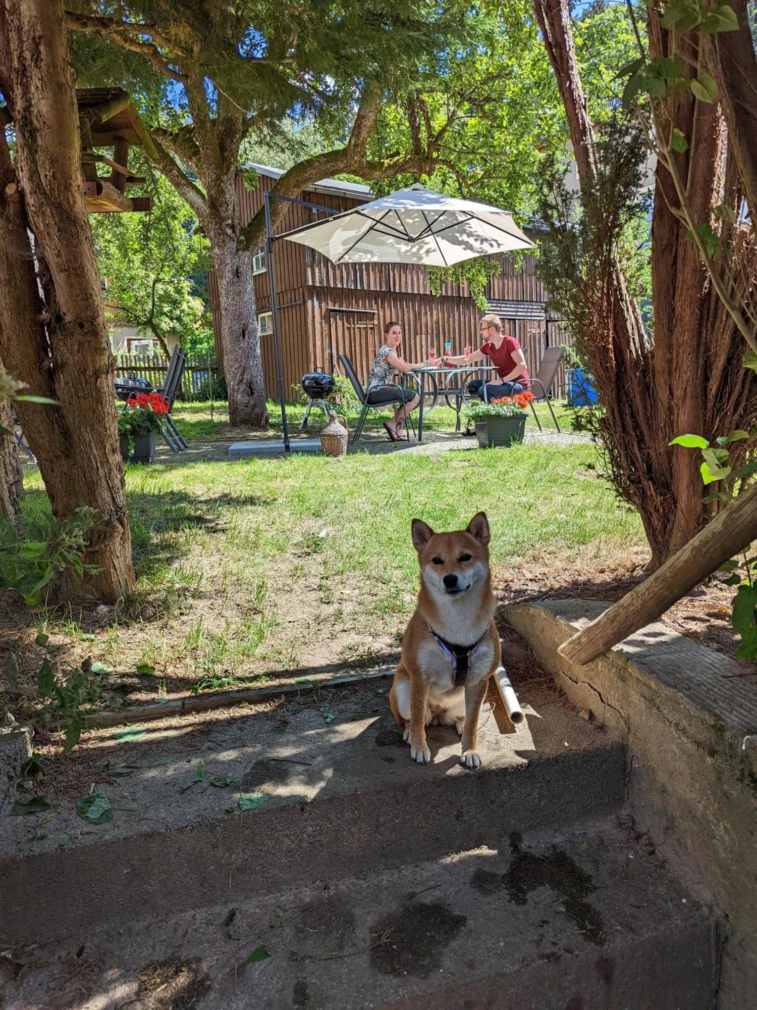 H2 - Urlaubsmagie - Garten, Pool, Terrasse, Grill Sebnitz Buitenkant foto